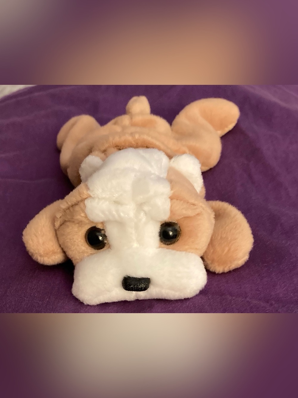 Ty The Beanie Babies WRINKLES the baby bulldog stuffed animal